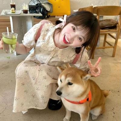 丛林有情狼